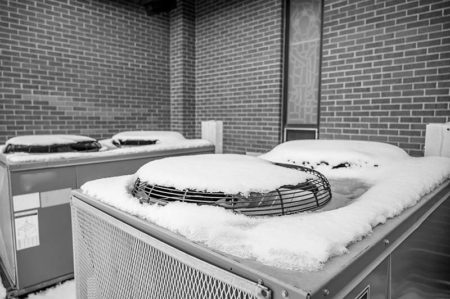 winter